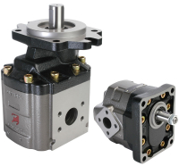 Casappa Cast Iron Gear Motors