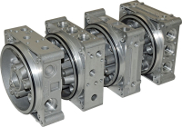 Universal central manifold