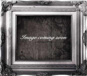 12 TOOTH GEAR FOR LIGHT DUTY MODELS 6 & 7 12 TOOTH GEAR FOR LIGHT DUTY MODELS 6 & 7